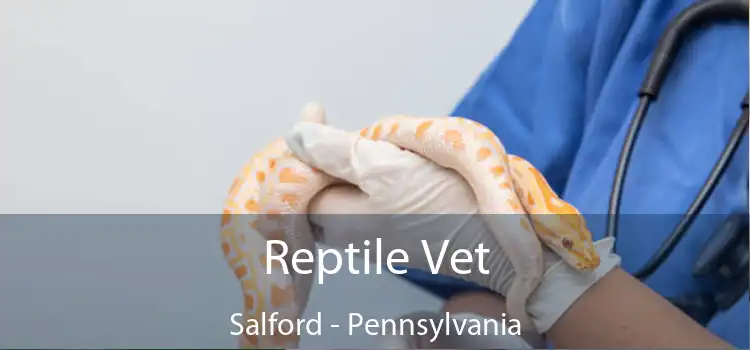 Reptile Vet Salford - Pennsylvania