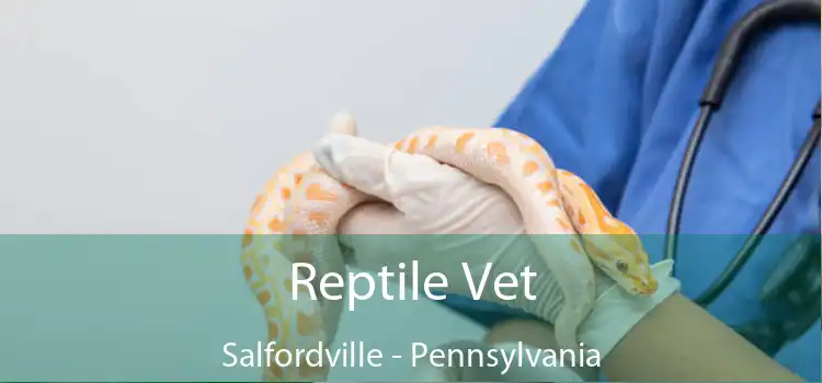Reptile Vet Salfordville - Pennsylvania