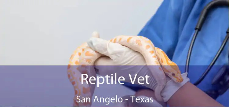 Reptile Vet San Angelo - Texas