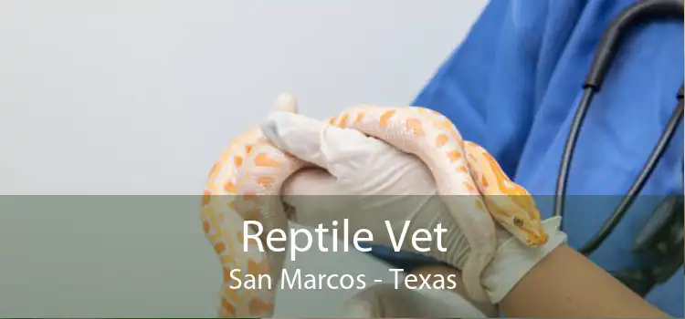 Reptile Vet San Marcos - Texas