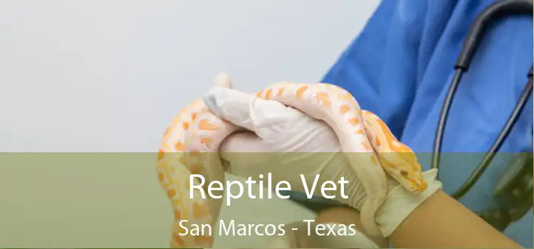 Reptile Vet San Marcos - Texas