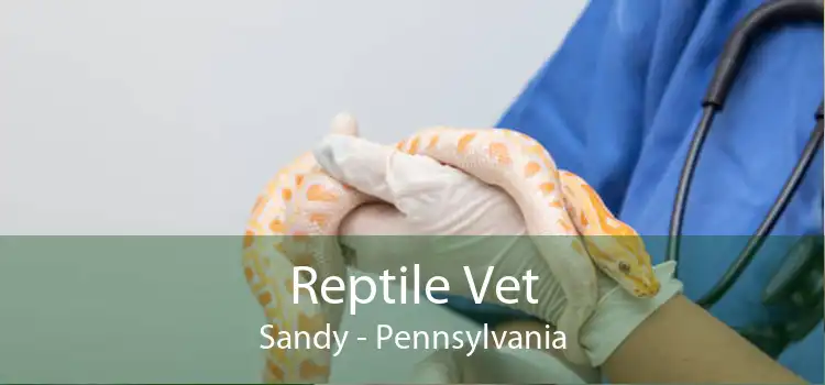 Reptile Vet Sandy - Pennsylvania