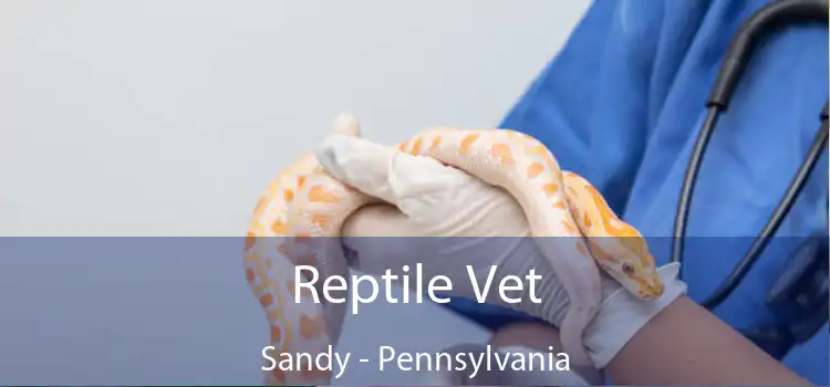 Reptile Vet Sandy - Pennsylvania