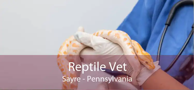 Reptile Vet Sayre - Pennsylvania