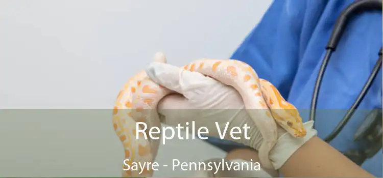 Reptile Vet Sayre - Pennsylvania