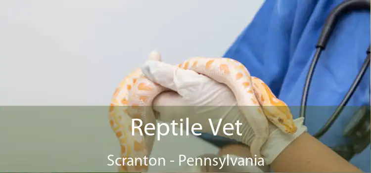 Reptile Vet Scranton - Pennsylvania