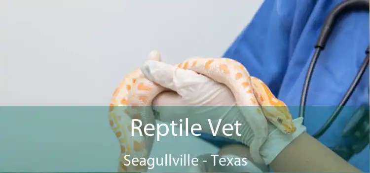 Reptile Vet Seagullville - Texas