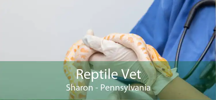 Reptile Vet Sharon - Pennsylvania