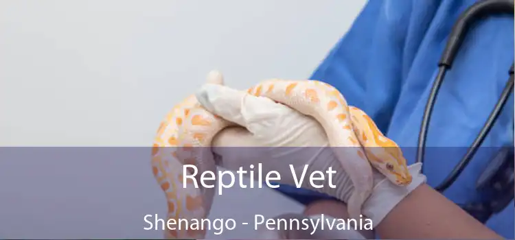Reptile Vet Shenango - Pennsylvania