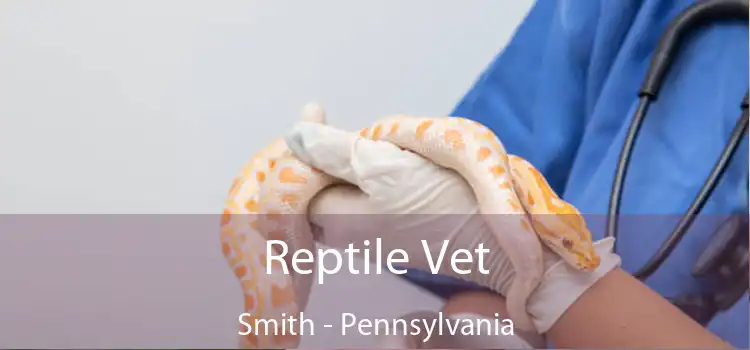 Reptile Vet Smith - Pennsylvania