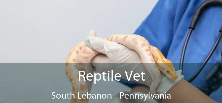 Reptile Vet South Lebanon - Pennsylvania