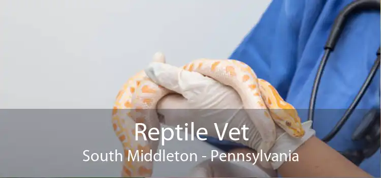 Reptile Vet South Middleton - Pennsylvania