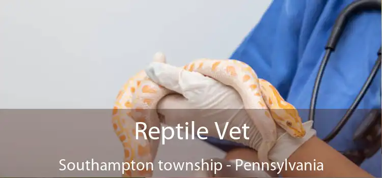 Reptile Vet Southampton township - Pennsylvania