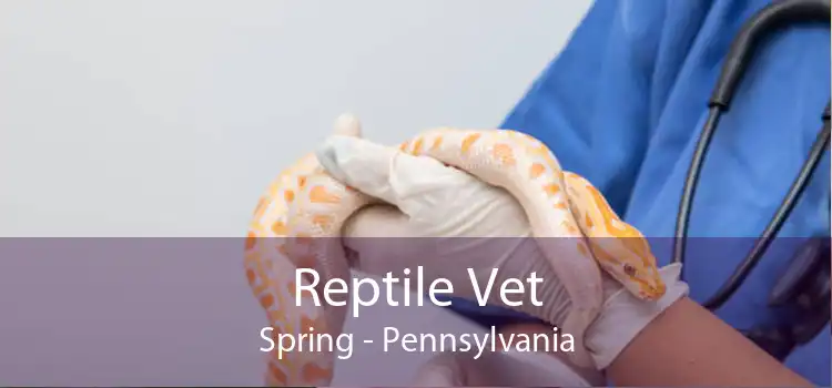 Reptile Vet Spring - Pennsylvania