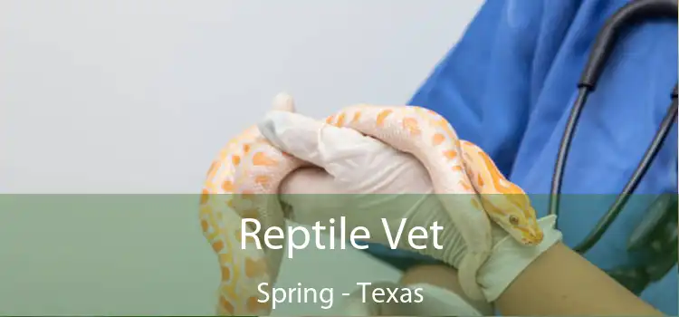Reptile Vet Spring - Texas