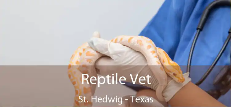 Reptile Vet St. Hedwig - Texas