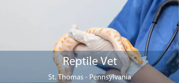 Reptile Vet St. Thomas - Pennsylvania
