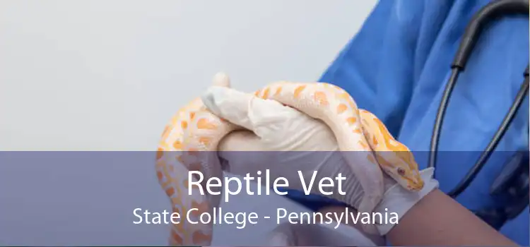 Reptile Vet State College - Pennsylvania