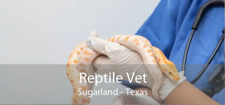 Reptile Vet Sugarland - Texas