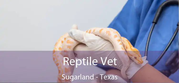 Reptile Vet Sugarland - Texas