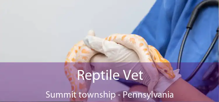 Reptile Vet Summit township - Pennsylvania