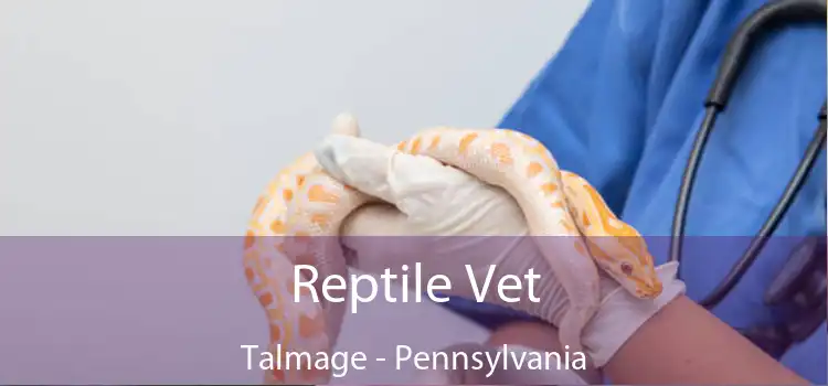 Reptile Vet Talmage - Pennsylvania