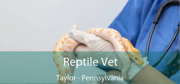 Reptile Vet Taylor - Pennsylvania
