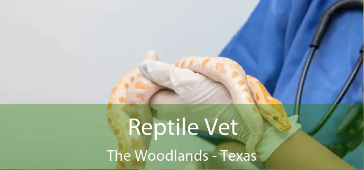 Reptile Vet The Woodlands - Texas