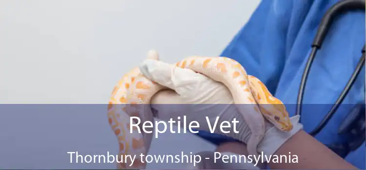 Reptile Vet Thornbury township - Pennsylvania