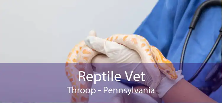 Reptile Vet Throop - Pennsylvania