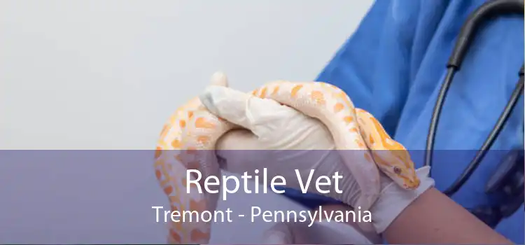 Reptile Vet Tremont - Pennsylvania