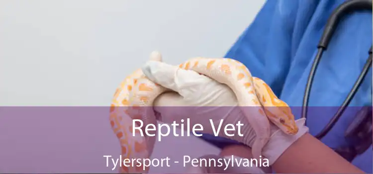 Reptile Vet Tylersport - Pennsylvania