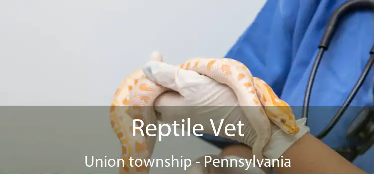 Reptile Vet Union township - Pennsylvania