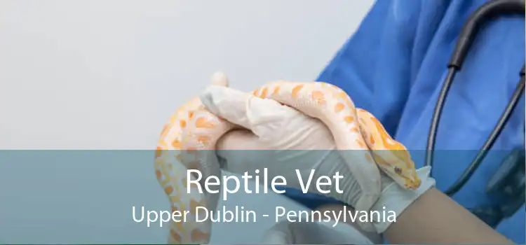 Reptile Vet Upper Dublin - Pennsylvania