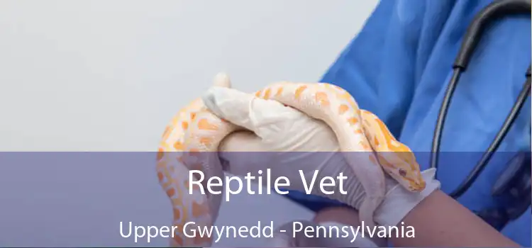 Reptile Vet Upper Gwynedd - Pennsylvania