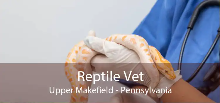 Reptile Vet Upper Makefield - Pennsylvania