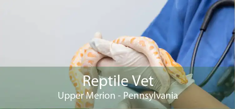 Reptile Vet Upper Merion - Pennsylvania