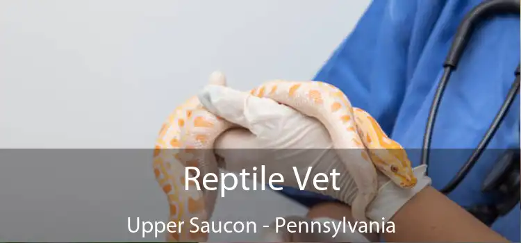 Reptile Vet Upper Saucon - Pennsylvania