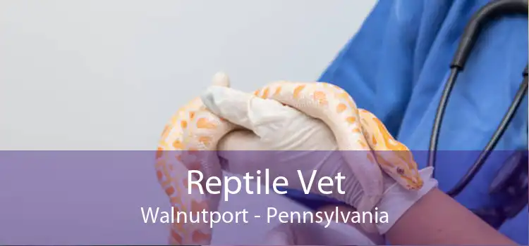 Reptile Vet Walnutport - Pennsylvania