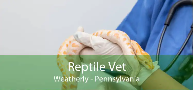Reptile Vet Weatherly - Pennsylvania