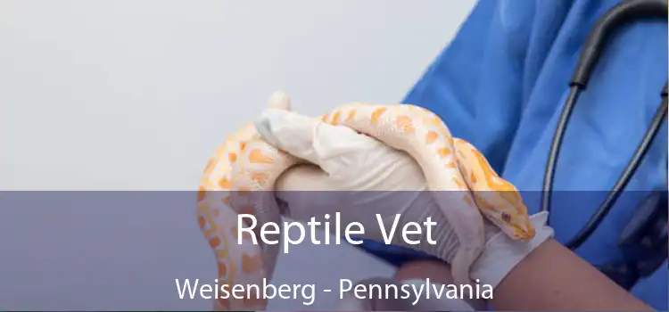 Reptile Vet Weisenberg - Pennsylvania