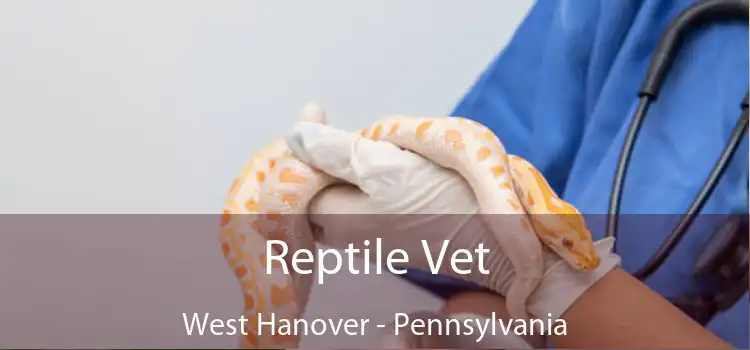 Reptile Vet West Hanover - Pennsylvania