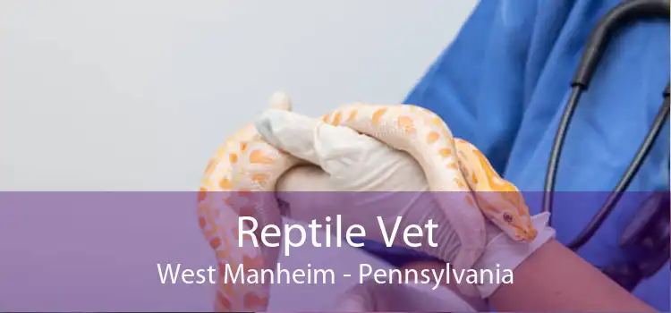 Reptile Vet West Manheim - Pennsylvania