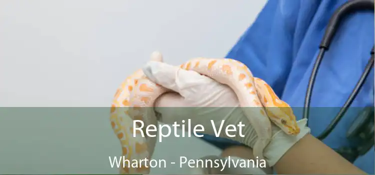 Reptile Vet Wharton - Pennsylvania