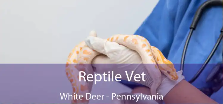 Reptile Vet White Deer - Pennsylvania