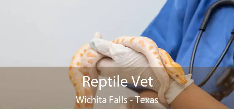 Reptile Vet Wichita Falls - Texas