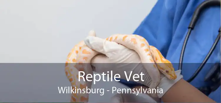 Reptile Vet Wilkinsburg - Pennsylvania