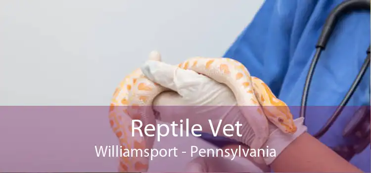 Reptile Vet Williamsport - Pennsylvania