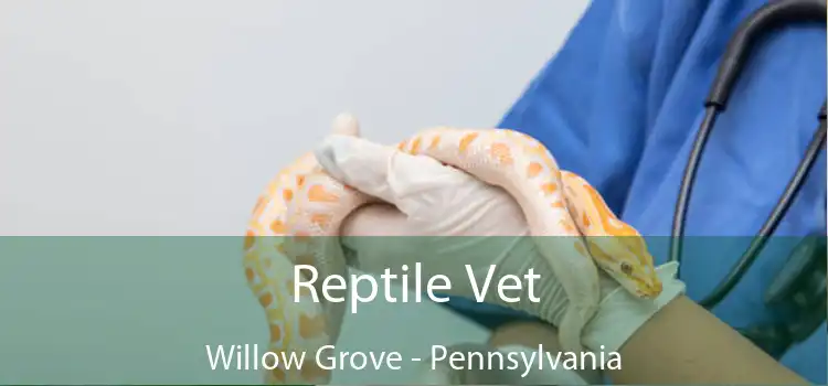 Reptile Vet Willow Grove - Pennsylvania
