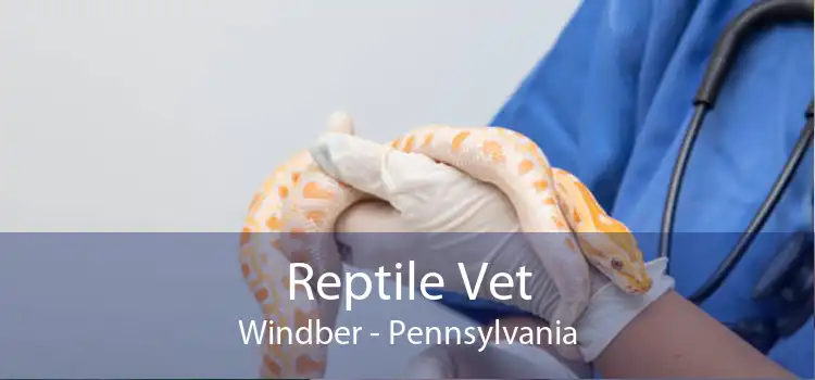 Reptile Vet Windber - Pennsylvania